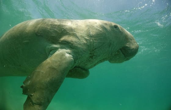 Adventure and Cultural Exploration in Marsa Alam, Egypt