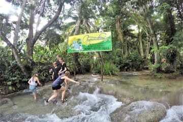 Zipline Canopy and Dunn's River Falls Tour in Ocho Rios