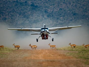 Masai Mara Flying Safari