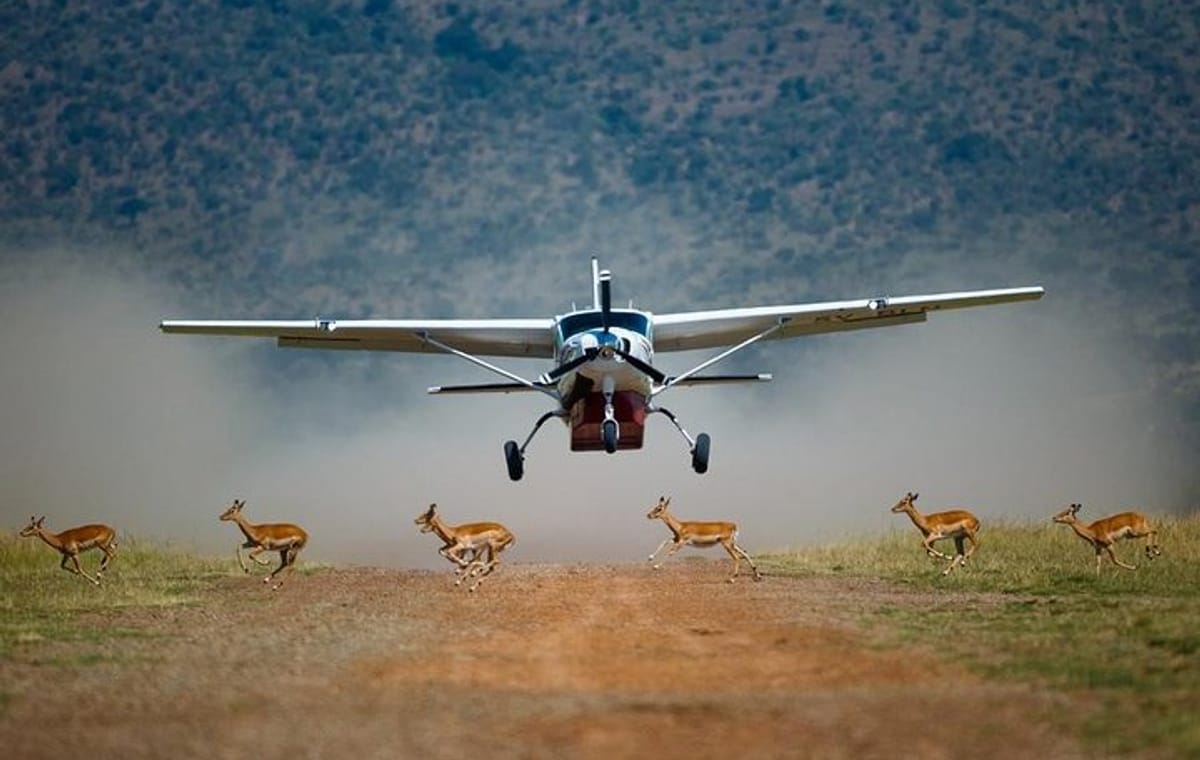 3DAYS MASAI MARA FLYING LUXURY LODGE SAFARI