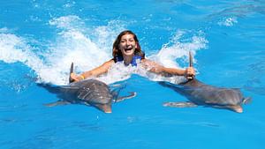 Dolphin Royal Swim at Tulum Akumal