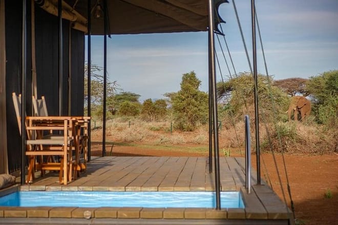 4-Day Lake Naivasha & Amboseli- Luxury Grp Joining Safari 4