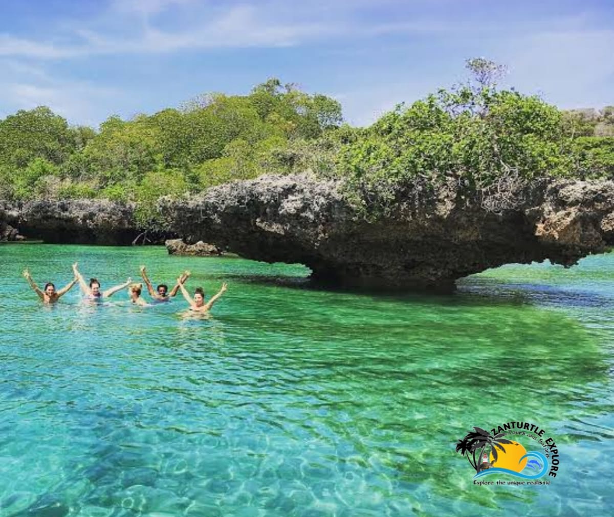 Zanzibar Prison Island Giant Big Tortoise Tour