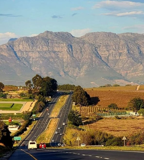 CAPE TOWN  :FULL-DAY  WINE  TASTING TOUR WITH  WINE  TRAM - Photo 6