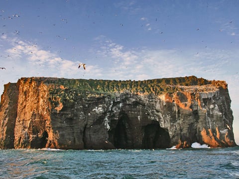 Súlnasker in Vestmannaeyjar