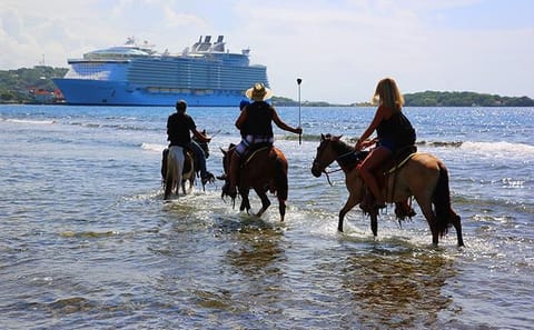 Horseback Riding and Beach Break in Coxen Hole, Honduras