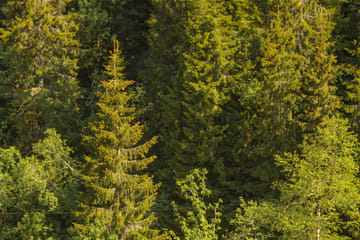 Private Nature Tour of Oslo's Scenic Great Lakes
