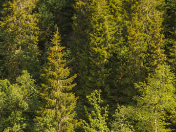 Private Nature Tour of Oslo's Scenic Great Lakes