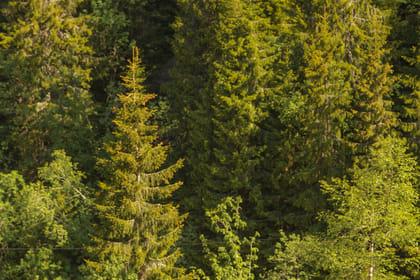 Private Great lake tour