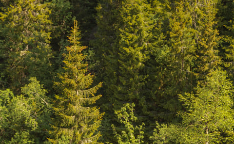 Private Nature Tour of Oslo's Scenic Great Lakes