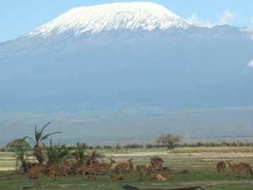 Foothill of Mount. Kilimanjaro
