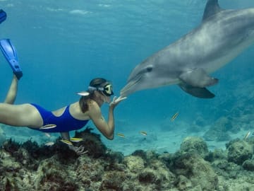 Snorkeling Adventure with Dolphins in Samadai, Marsa Alam