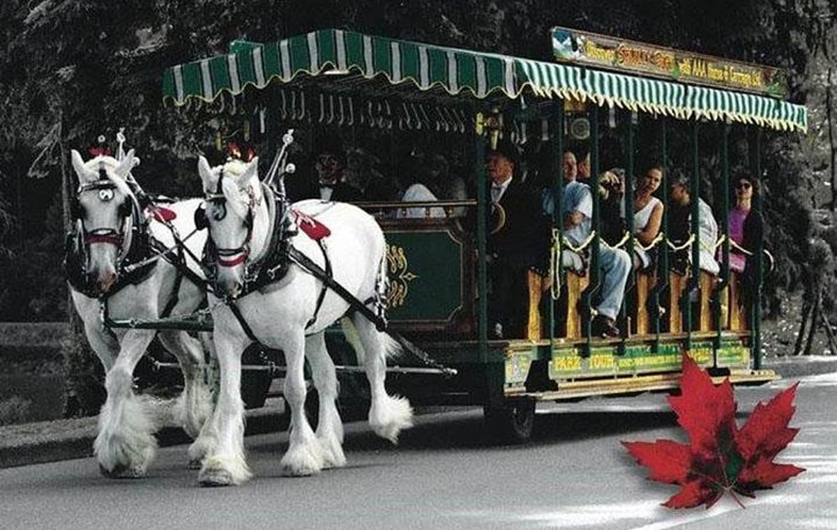 Best Selling Vancouver Sightseeing Tour 5 Hours(Private setting)