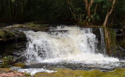 Amazon Waterfalls Adventure Tour from Manaus