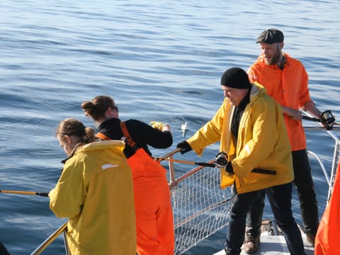 Reykjavík Sea Angling Gourmet, photo 2