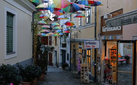 Personalized Budapest and Szentendre Tour with Wine Tasting