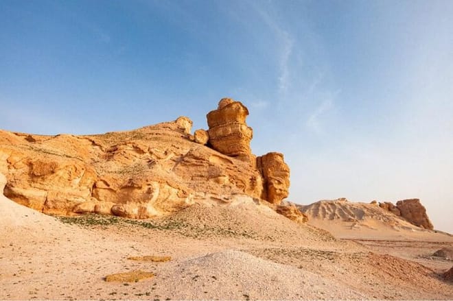 Qassim Heritage Tour Culture, Markets & Traditions photo 4