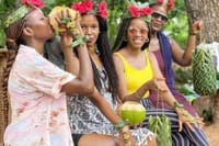 7 Days Zanzibar Holiday with Mikumi National Park Day Trip 4