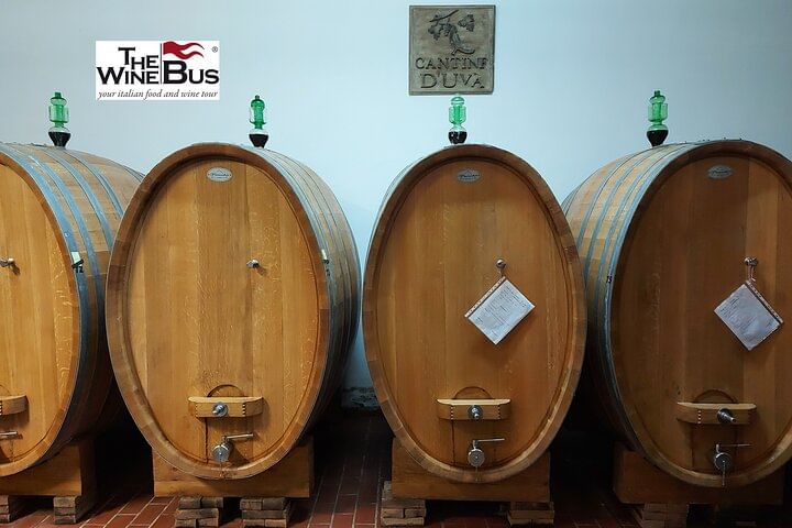 Private Tintilia del Molise Wine Tour from CAMPOBASSO