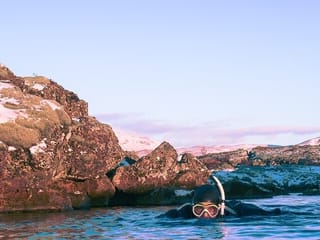 Snorkeling, Þingvellir, Silfra