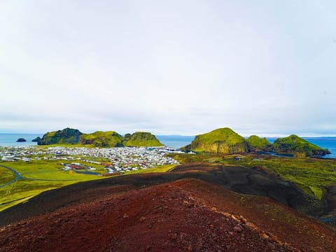 Vestmannaeyjar Private Day Tour, photo 2