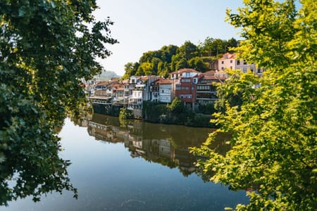 Porto: Douro Valley Wine tour with Lunch, Tastings & River Cruise