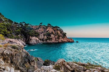 Málaga and Marbella Full-Day Cultural Tour with Photography