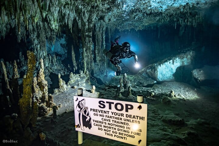 Scuba Diving in the Mystical Cenotes of Tulum 8