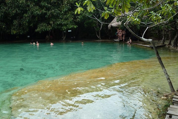 Thailand’s Last Lowland Rainforest – A Hidden Gem Tour 7