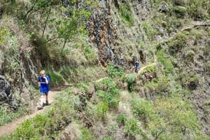 4-Day Inca Jungle Trail to Machu Picchu Hiking and Biking Tour 
