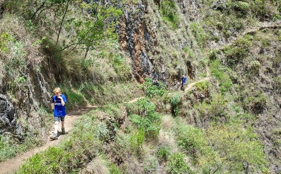4-Day Inca Jungle Trail to Machu Picchu Hiking and Biking Tour