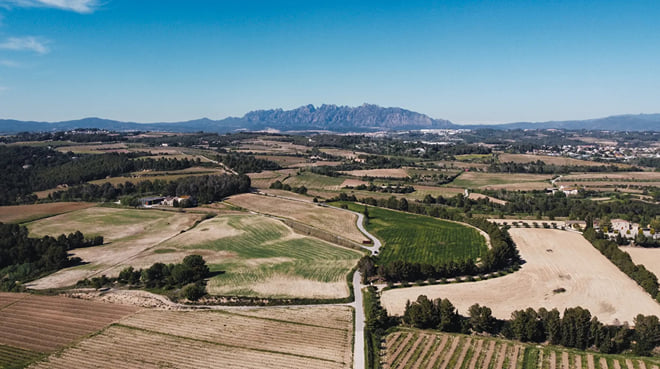 Montserrat Day Tour and Wine Tasting From Barcelona. Enjoy a Catalan Brunch with Pairing Cava. Includes Hotel Pick Up and Drop Off. - Photo 15