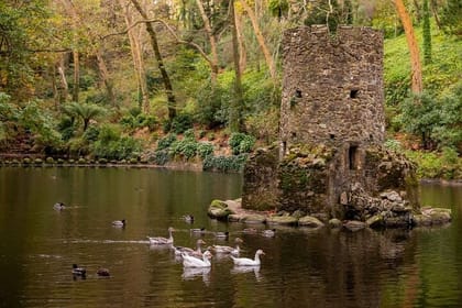 Sintra Mountains Private Tour with Pena Palace & Moorish Castle Tickets