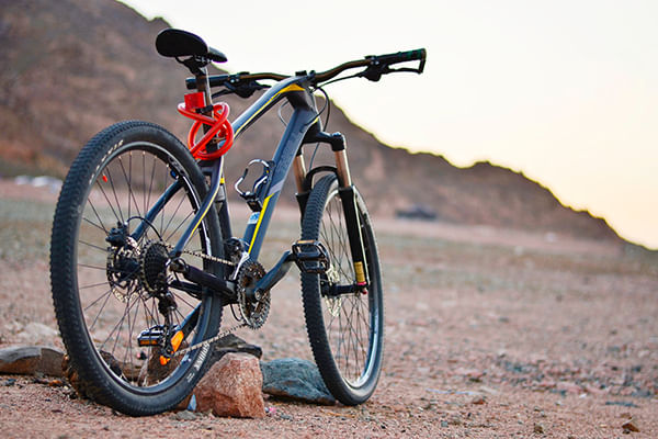 Table Mountain e-bike adventure. Cape Town. Guided