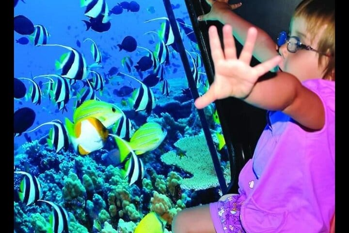 Semi Submarine (Sea Trip) 2 Hours With Transfer - Sharm El Sheikh 3