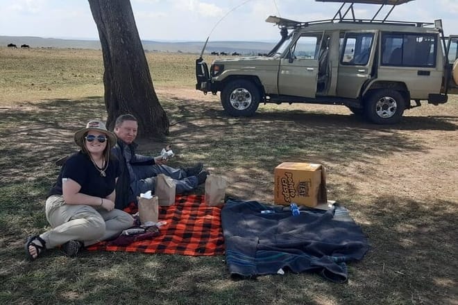 picnic Lunch