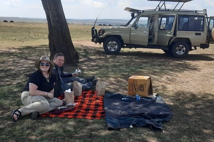 picnic Lunch