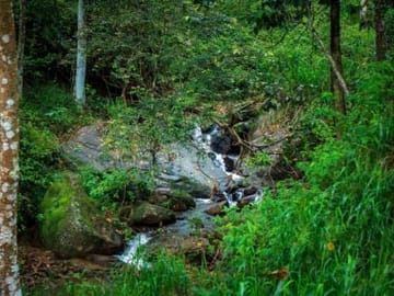 Adventure and Nature Tour in Kandy and Kitulgala, Sri Lanka