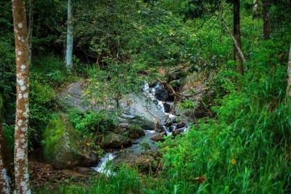 Short Vacation – Kandy/Kitulgala/Belihuloya