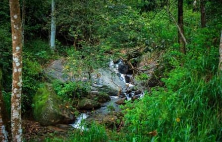Adventure and Nature Tour in Kandy and Kitulgala, Sri Lanka