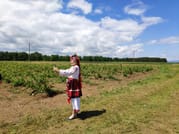Private Access Rose Festival Kazanlak 05-07.06.2025 4