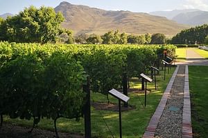 Private Cape Winelands chauffer-Guide Tour for small groups.