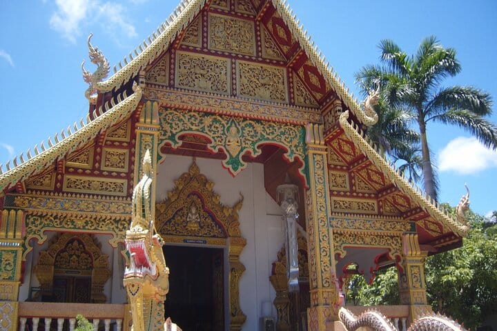 Half Day Rice Field Visions Guided Tour from Chiang Mai