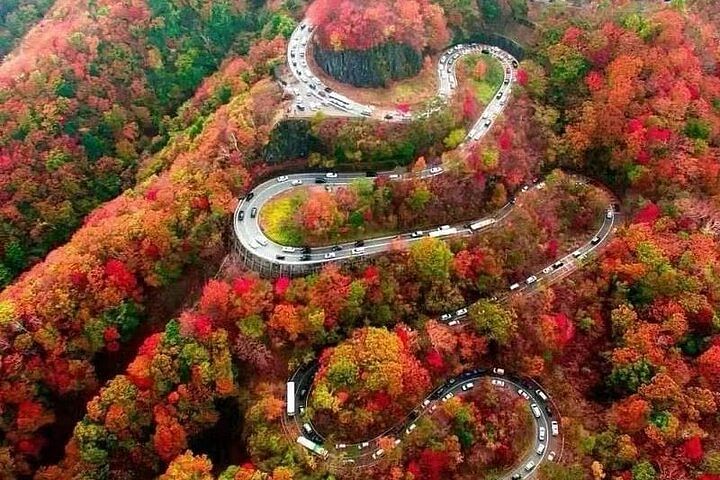 Nikko Toshugo Shrine and Nature View 1-day Tour | from Tokyo