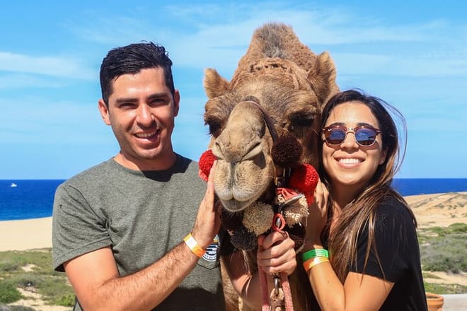 Cabo Camel Ride Experience 3