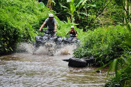 Bali Quad Bike