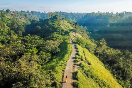 Morning Trekking at Bukit Cinta Ubud
