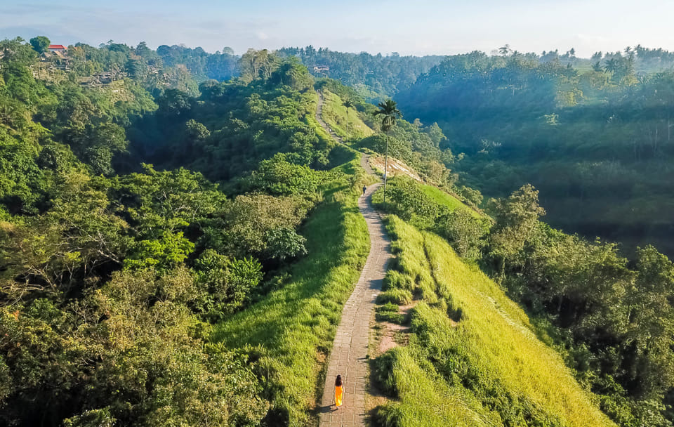 Morning Trekking Experience at Campuhan Ridge, Ubud
