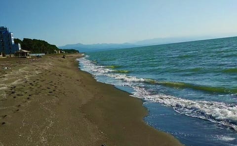 Explore Batumi's Boulevard, Argo, and Dendrological Park