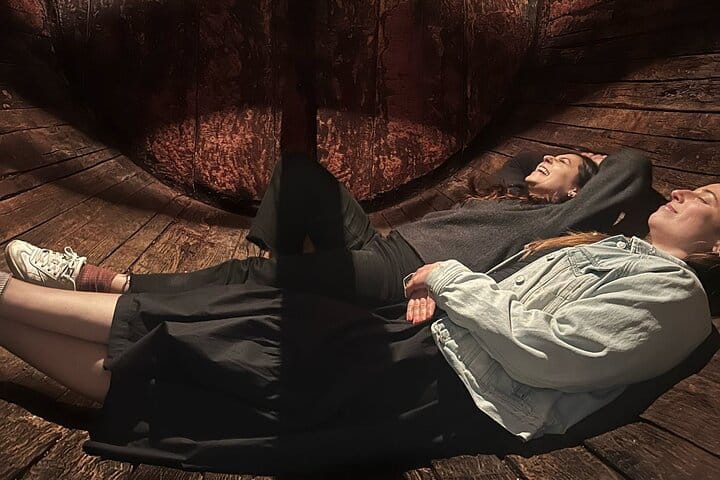 DOURO VALLEY: Premium Wine Tour, Lunch at Winery & Private Cruise